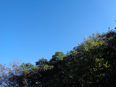 DSC00291a.JPG