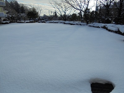 DSC00475.JPG