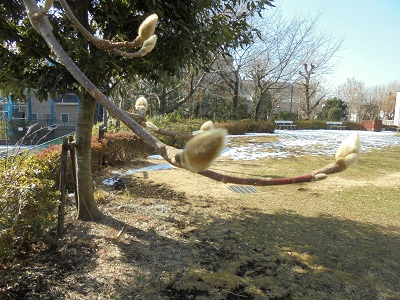 DSC00490.JPG