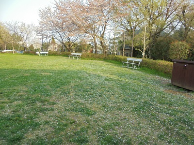 DSC00636.JPG