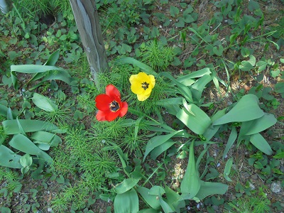 DSC00639.JPG