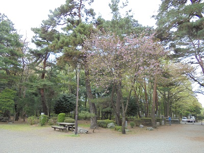DSC00645.JPG