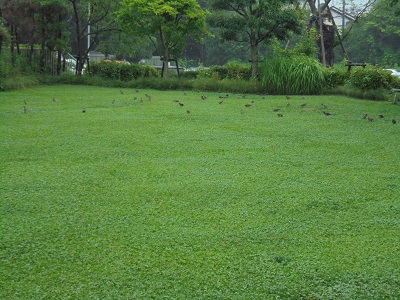 DSC00815.JPG