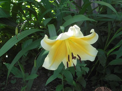 DSC00838.JPG