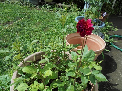 DSC00865.JPG
