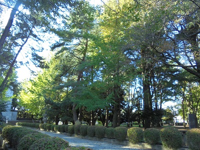 DSC01097.JPG
