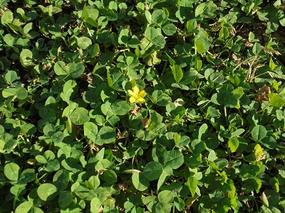 DSC01104.JPG