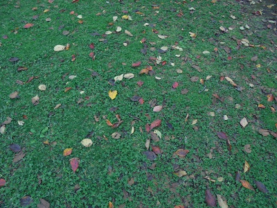 DSC01113.JPG