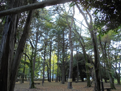 DSC01117.JPG