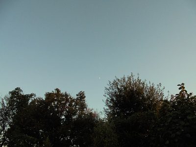 DSC01145.JPG