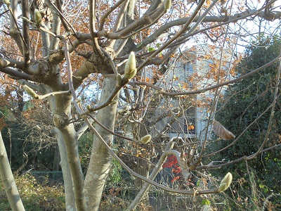 DSC01258.JPG