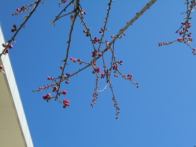 DSC01382.JPG