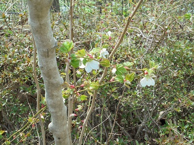 DSC01408.JPG