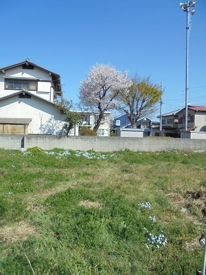 DSC01466.JPG
