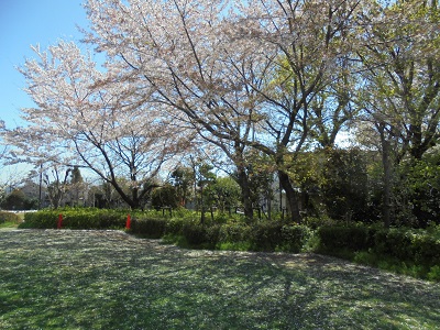 DSC01480.JPG
