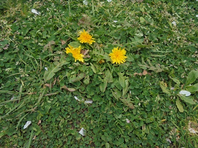 DSC01489.JPG