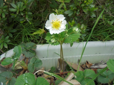 DSC01544.JPG
