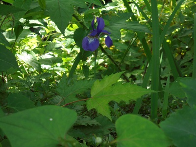 DSC01601.JPG