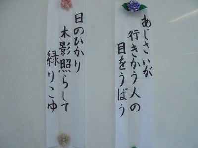 DSC01702.JPG