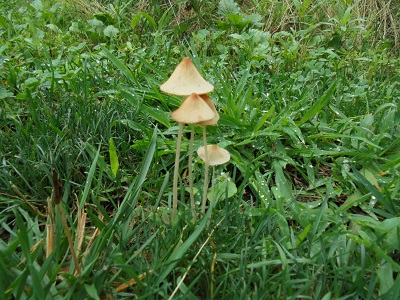 DSC01712.JPG