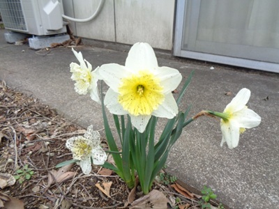 DSC02406.JPG
