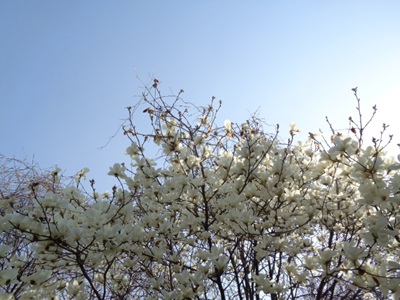 DSC02410.JPG