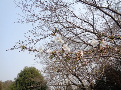 DSC02413.JPG