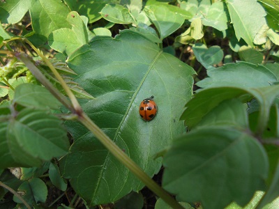 DSC02491.JPG