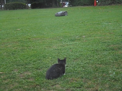DSC02553.JPG