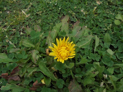 DSC02794.JPG