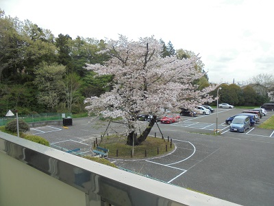 DSC02806.JPG