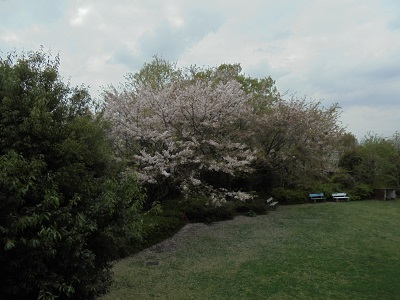 DSC02810.JPG