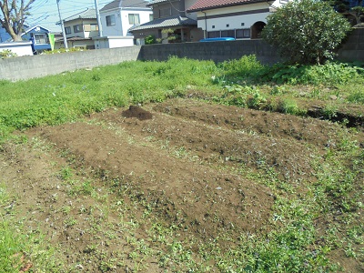 DSC02848.JPG