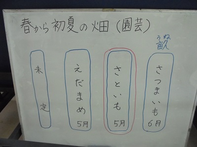 DSC02864.JPG