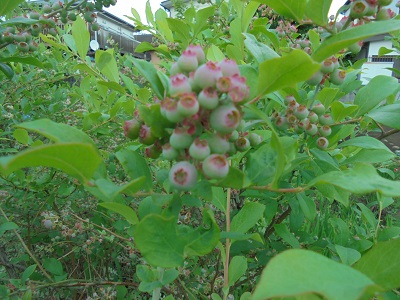 DSC02888.JPG
