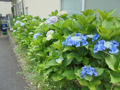 DSC02916a.JPG